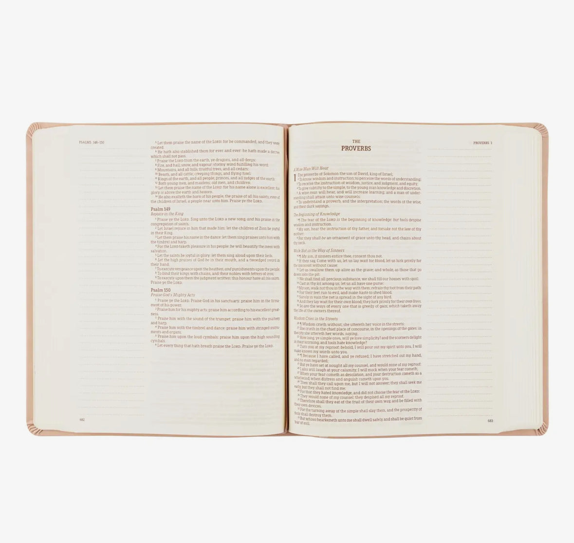 NEW! KJV LARGE PRINT NOTETAKING BIBLE: SHILOH THEME