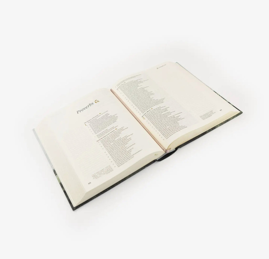 NEW! CSB NOTETAKING BIBLE: DUBLIN THEME