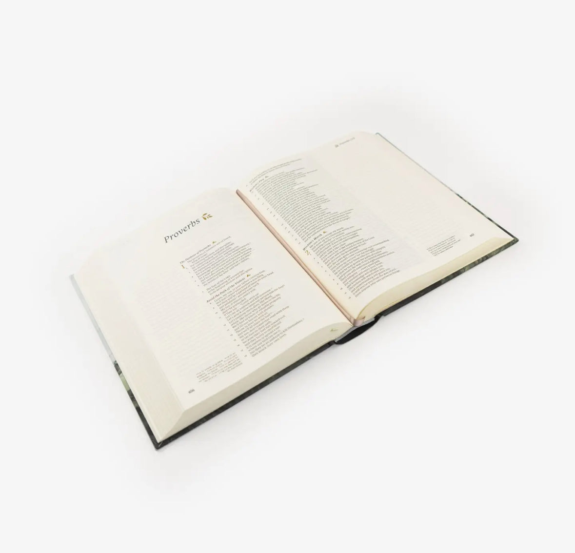 NEW! CSB NOTETAKING BIBLE: DUBLIN THEME