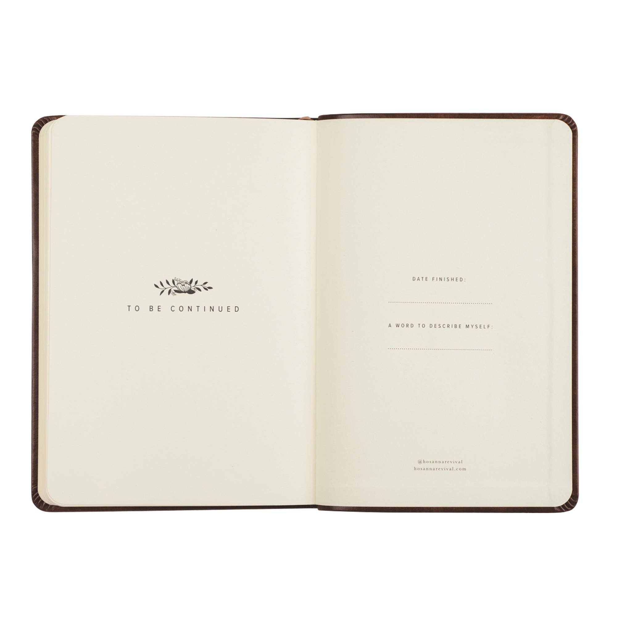 Notebook: Aurora Theme