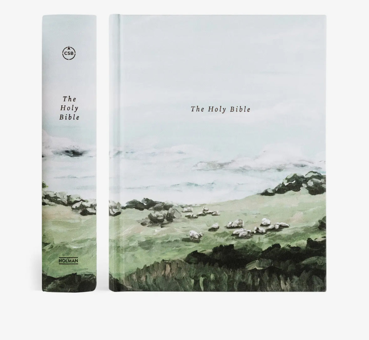 NEW! CSB NOTETAKING BIBLE: DUBLIN THEME