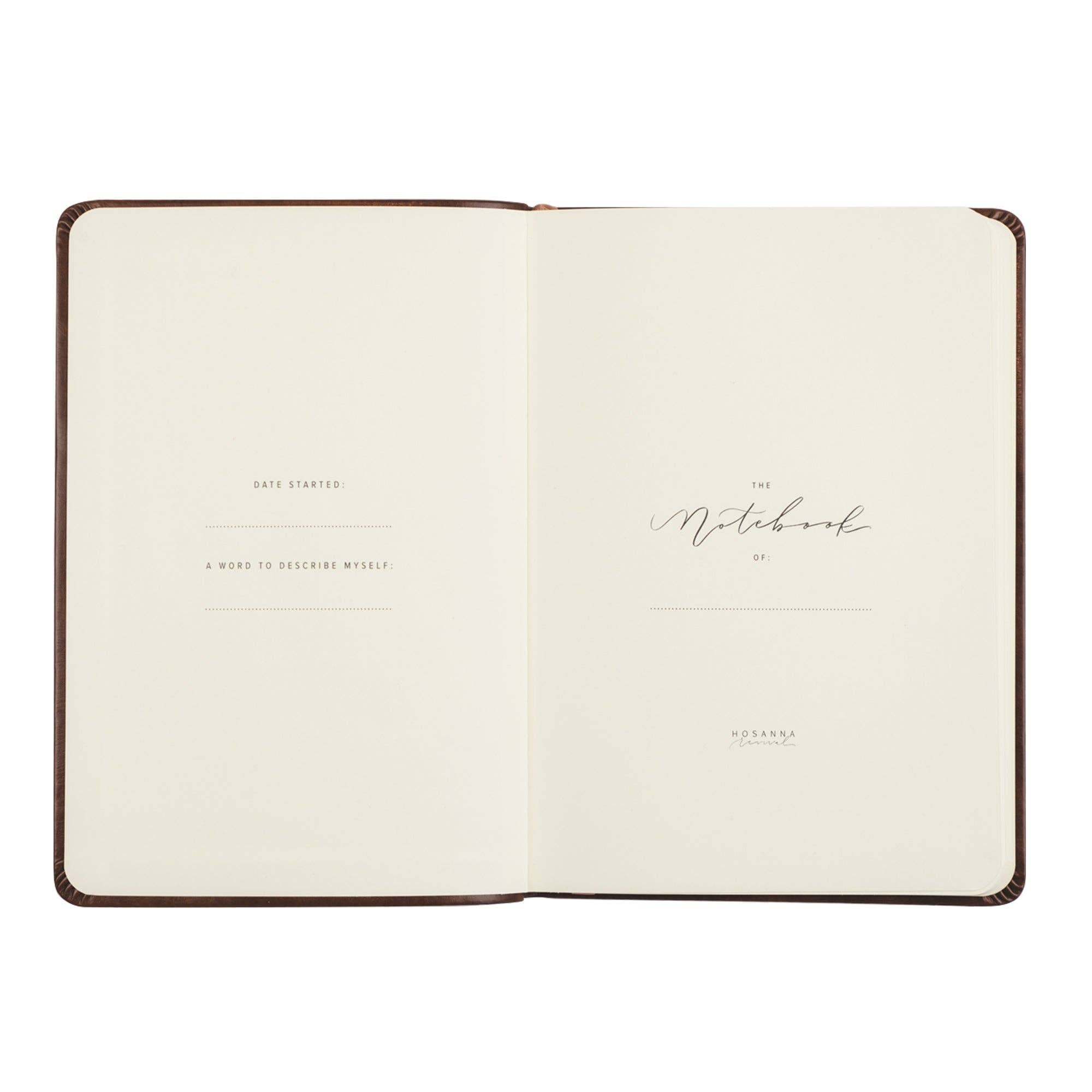Notebook: Aurora Theme